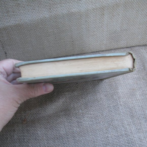 For Love of a Donkey by Betty Morgan Bowen - Picture 12 of 16